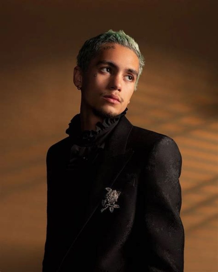 Dominic Fike Wiki: A Comprehensive Guide to the Rising Star