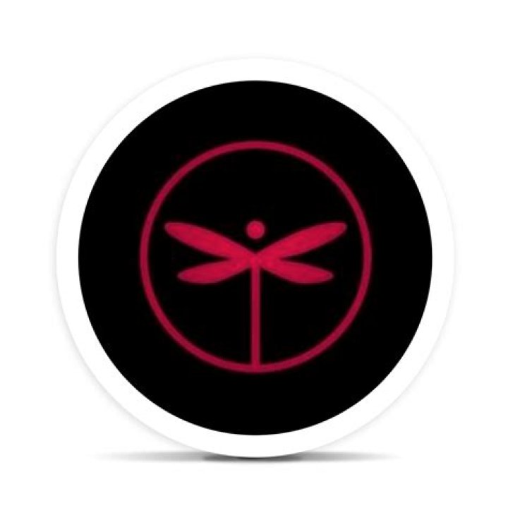 Discover the Magic of Dragonfly Cannabis: The Ultimate High