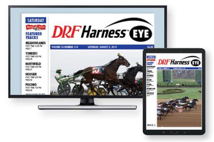 Unlocking the Power of the DRF Harness: A Comprehensive Guide