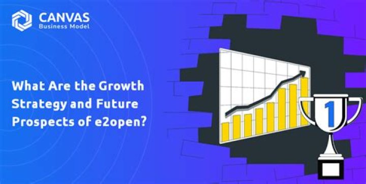 Latest Updates on e2open Revenue Growth and Performance