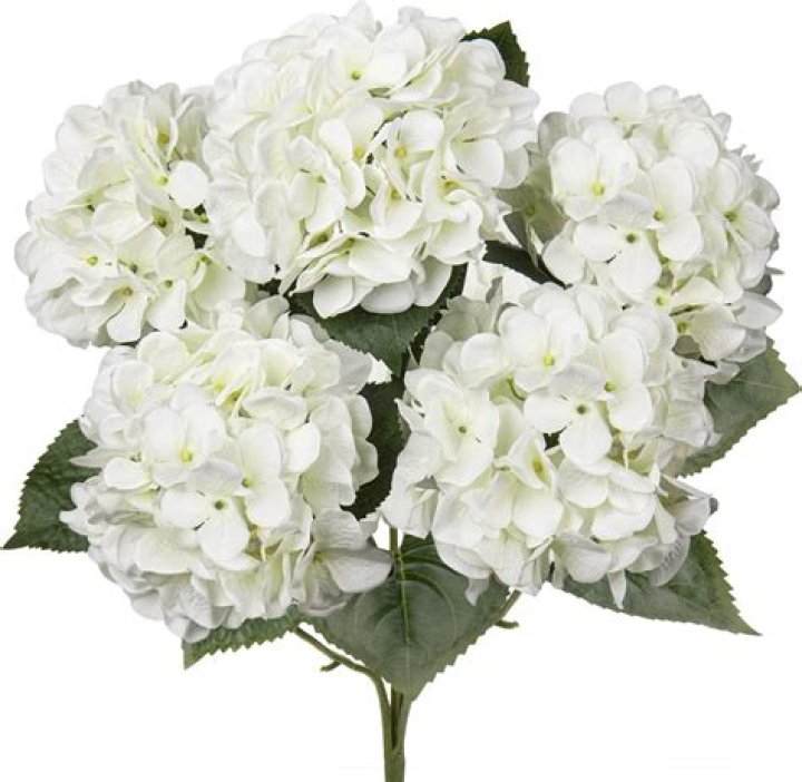 Unveiling the Allure of Fake Hydrangeas: A Floral Revolution