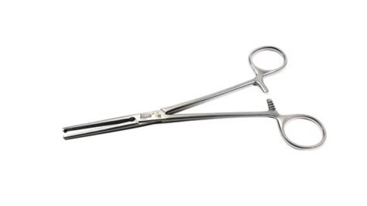 Felix Ailva Clamp: A Comprehensive Profile