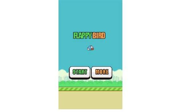 Flappy Bird Net Worth: Understanding the Phenomenon Behind the Viral Game