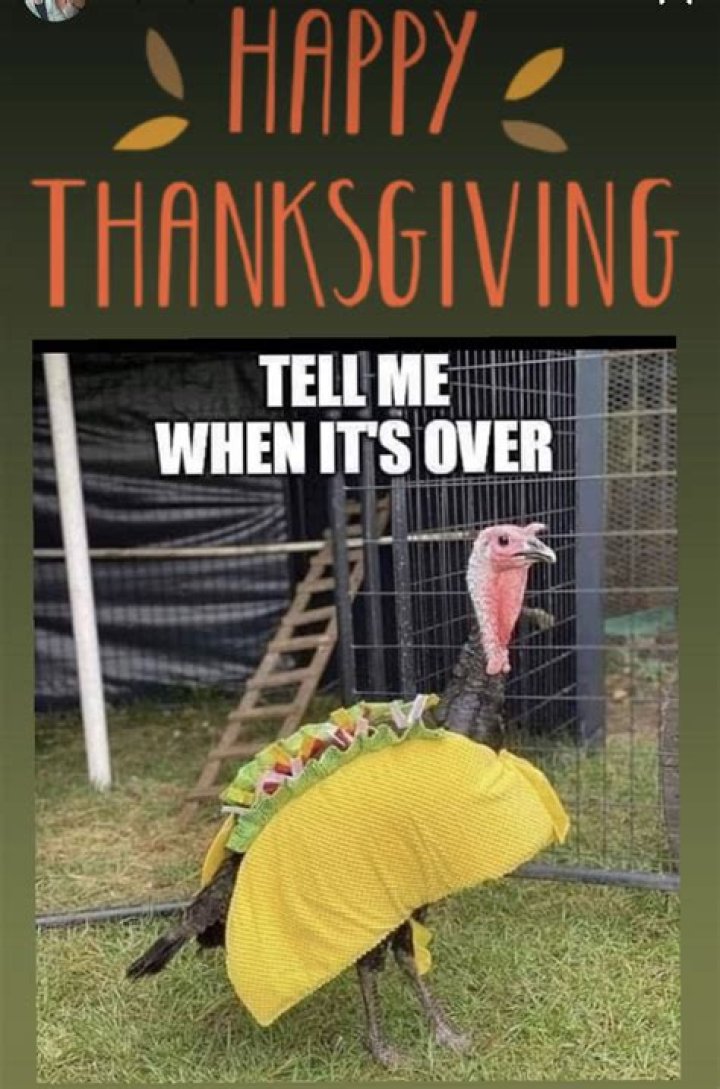 Funny Thanksgiving Memes to Celebrate the Holiday with Laughter
