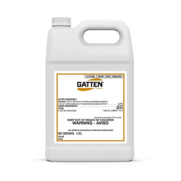 Gatten: An In-Depth Analysis of Its Impact and Relevance