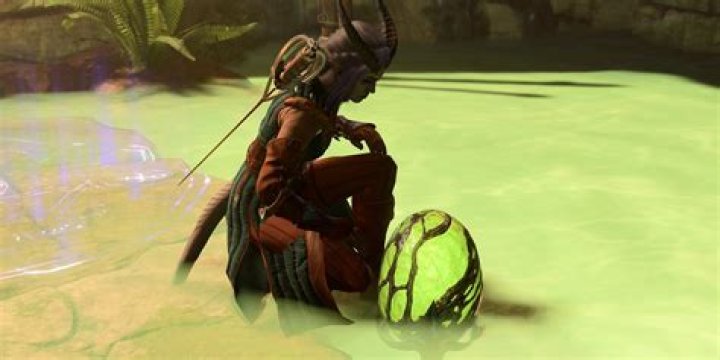 Understanding Gith Egg: Everything You Need to Know