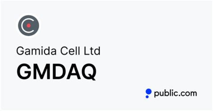Smart Investment: Understanding the Potential of GMDAQ Stock