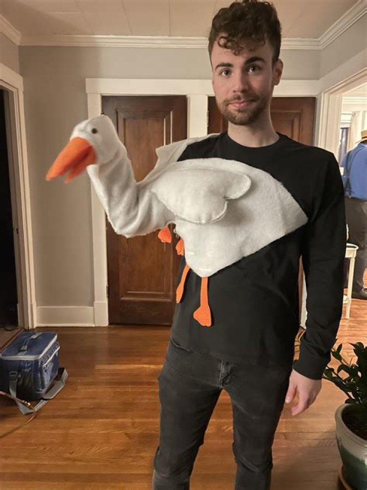 Transform Your Look with a Goose Costume: Fun and Unique Outfit Ideas