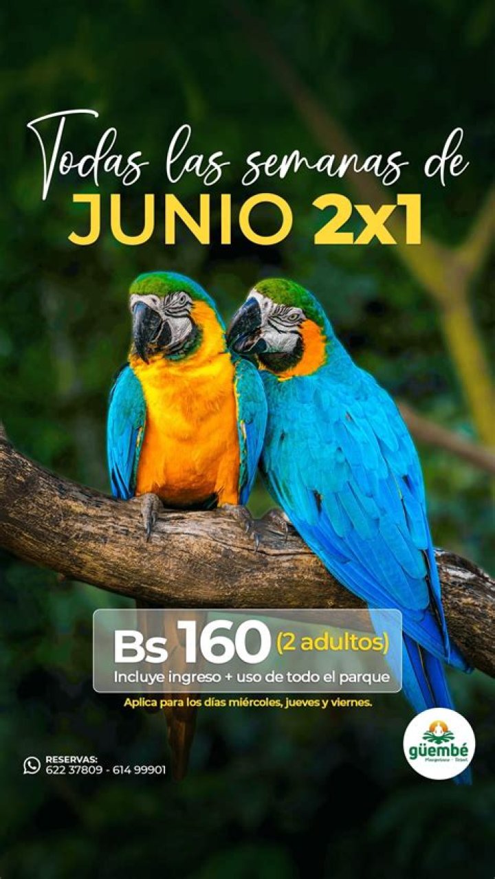 Guembe: An Oasis of Biodiversity and Natural Wonder