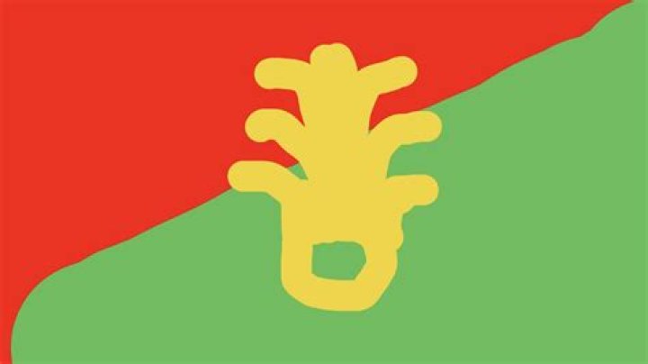 Understanding the Half Red Half Green Flag: A Comprehensive Guide