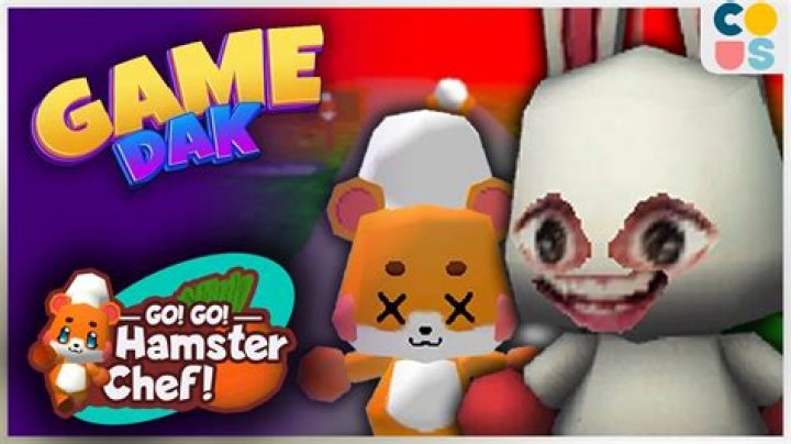Hamster Gogo: Everything You Need to Know About the Charming Pet