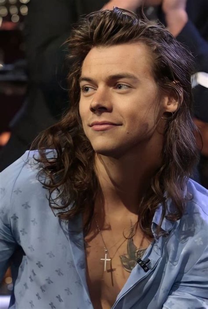 Unraveling the Charm of Harry Styles' Long Hair
