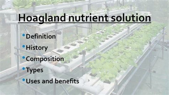 Hoagland Media: A Comprehensive Guide to Success and Innovation