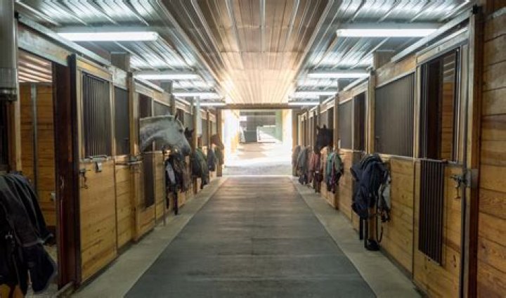 Discovering the Best Horse Boarding Near Me