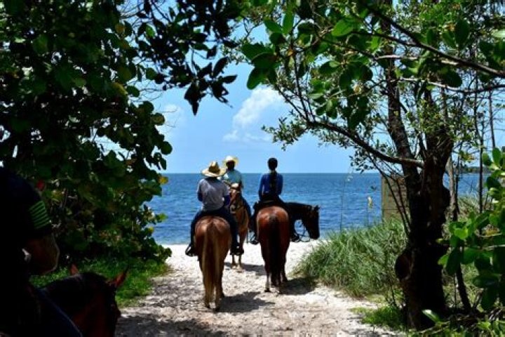 Discover the Thrill of Horseback Riding in Miami