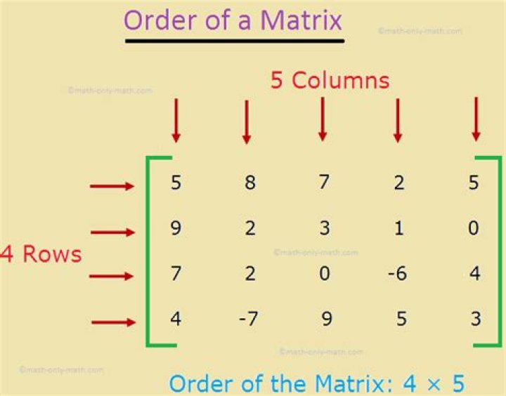 How Do You Determine the Order of a Matrix?