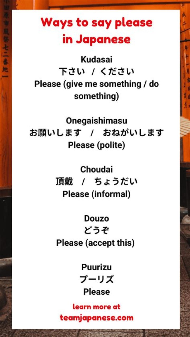 Understanding the Art of Saying Please in Japanese