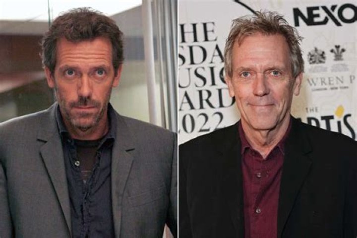Hugh Laurie's Earnings on House: An Inside Look