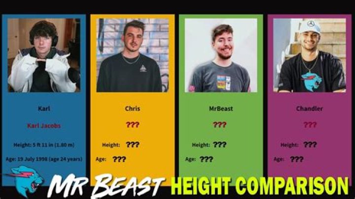 How Tall is Mr. Beast? Unveiling the Height of the YouTube Sensation