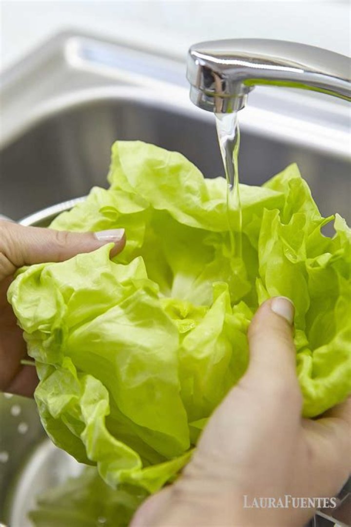 Mastering the Art of Cleaning Lettuce: A Step-by-Step Guide