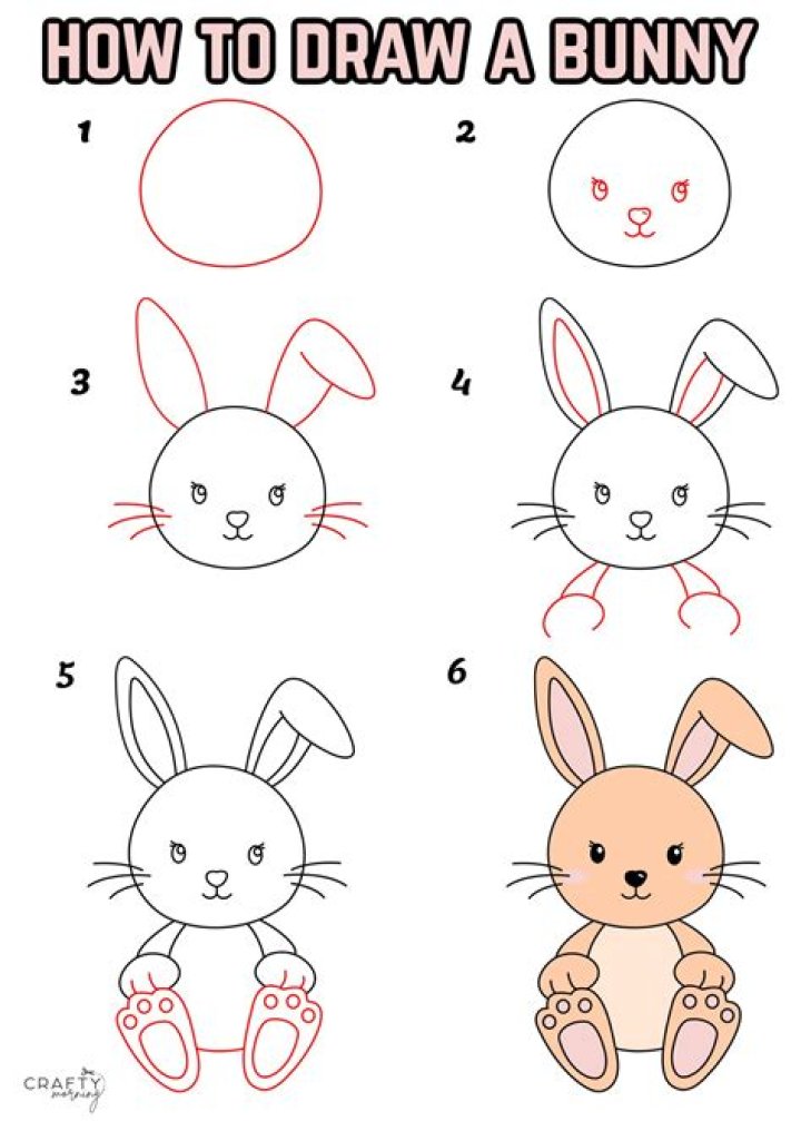 5 Easy Steps to Draw a Bunny: A Comprehensive Guide for Beginners