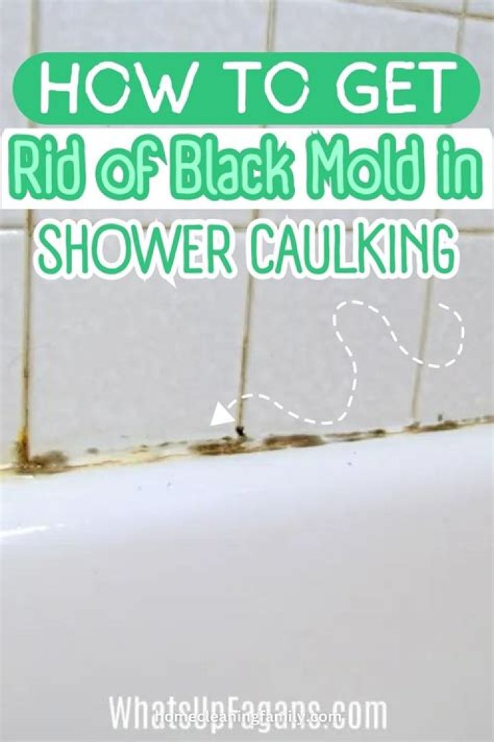 Effective Strategies for Eliminating Black Mold in Your Shower