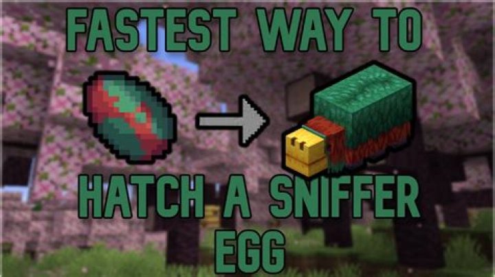 Unlocking the Secrets: How to Hatch a Sniffer Egg
