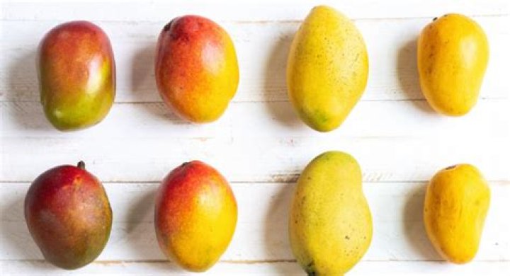 Mastering the Art of Mango Selection: How to Pick a Good Mango