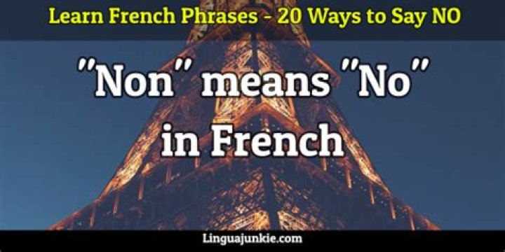 Mastering the Art of Refusal: How to Say No in French