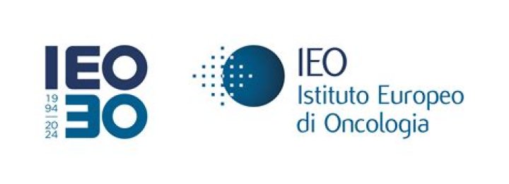 The Definitive Guide to IEOs: Everything You Need to Know