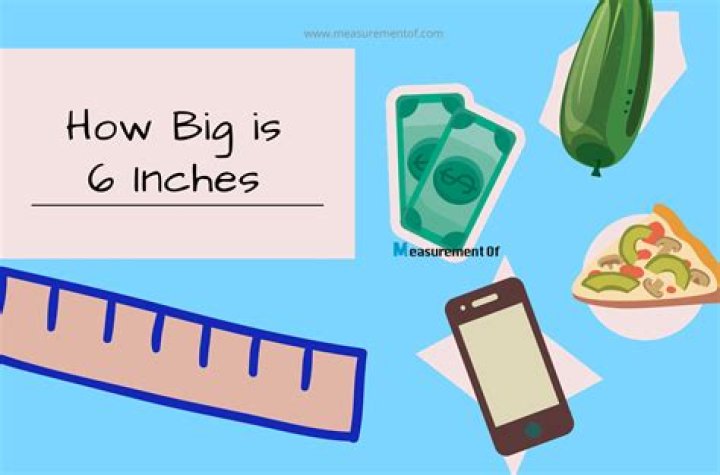 Understanding the Dimensions: Is 6 Inches Big?