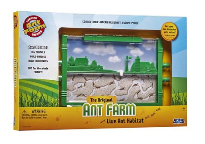 Jail for Ant Farm: Understanding the Legal Implications and Responsibilities