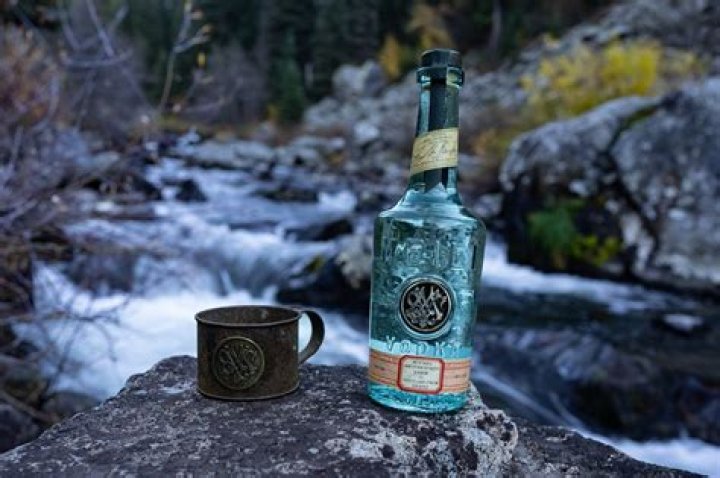 Exploring the World of Jason Momoa Vodka: A Dive into Taste and Craftsmanship