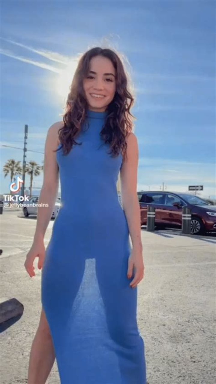 Exploring the Sweet World of Jellybeans: A Comprehensive Guide