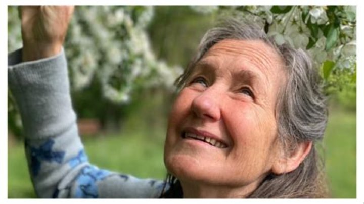 Jennifer O'Neill Age: A Timeless Journey Through Life and Career