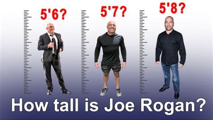 Joe Rogan Weight and Height: Everything You Need to Know