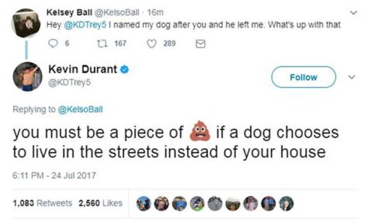 Insights into KD Twitter: An In-Depth Analysis