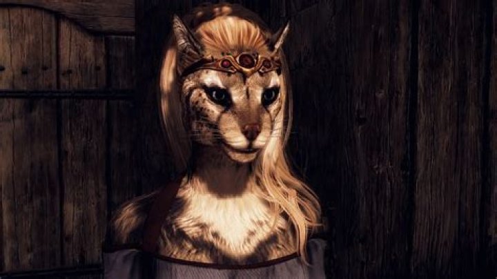 Exploring the Enigmatic Khajiit Female in Skyrim: A Comprehensive Guide