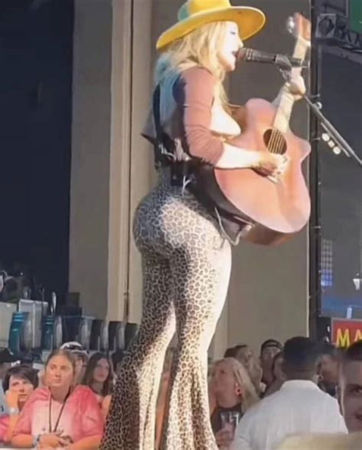 Lainey Wilson: The Rise to Fame and the 