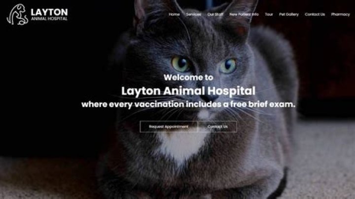 Comprehensive Guide to Layton Animal Hospital: Trustworthy Care for Your Beloved Pets