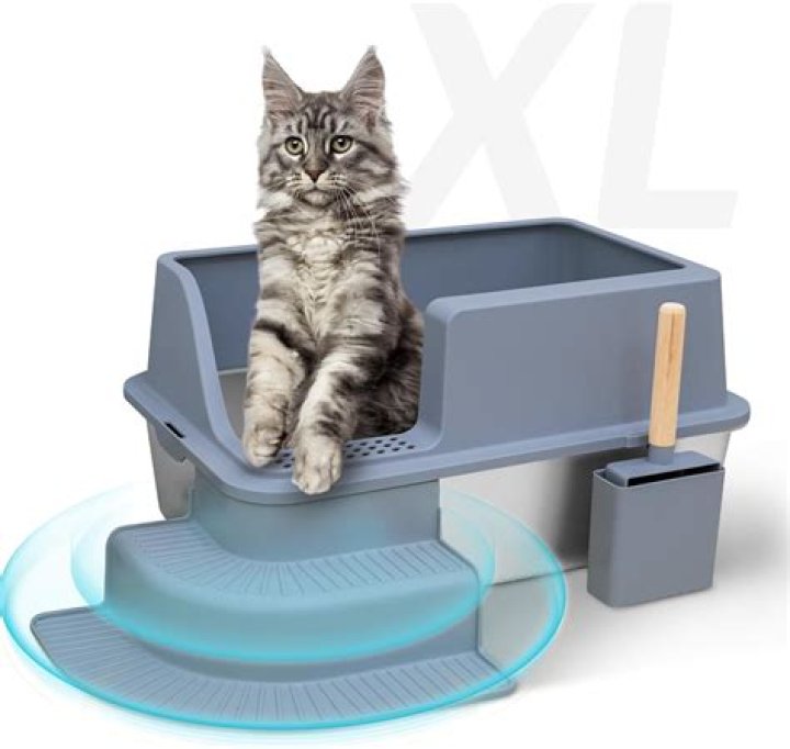 Litter Box for Bigger Cats: The Ultimate Guide