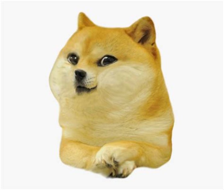 The Ultimate Little Doge Meme Collection: Your Daily Dose of Cuteness