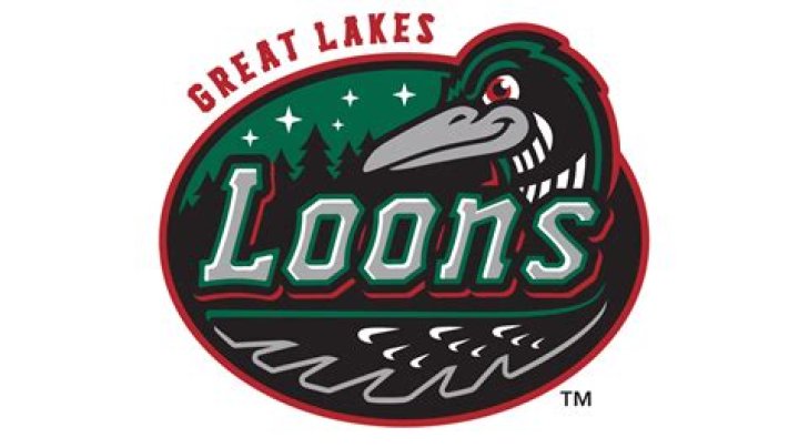 Exploring the Excitement of Loons Baseball
