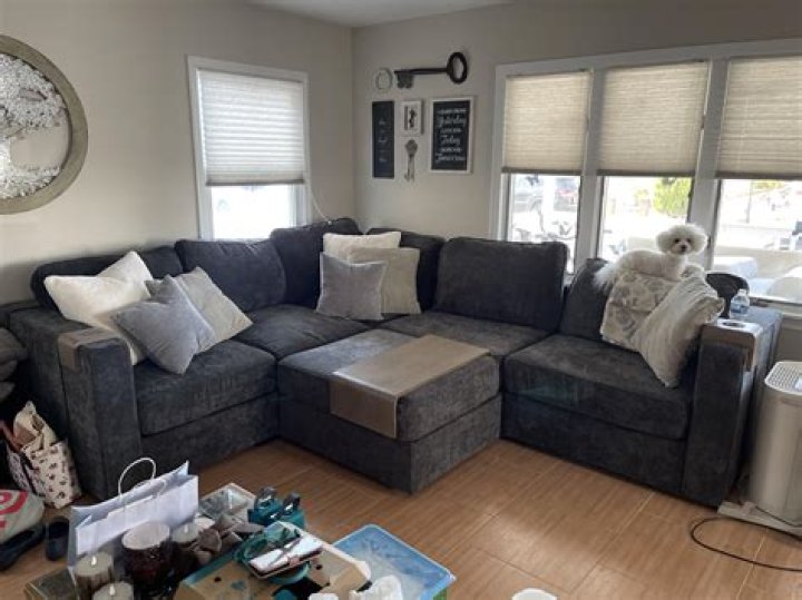 Discover the Comfort and Style of Love Sac Sectional