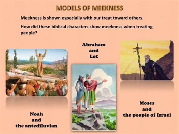 Exploring the Depths of Meekness in the Bible