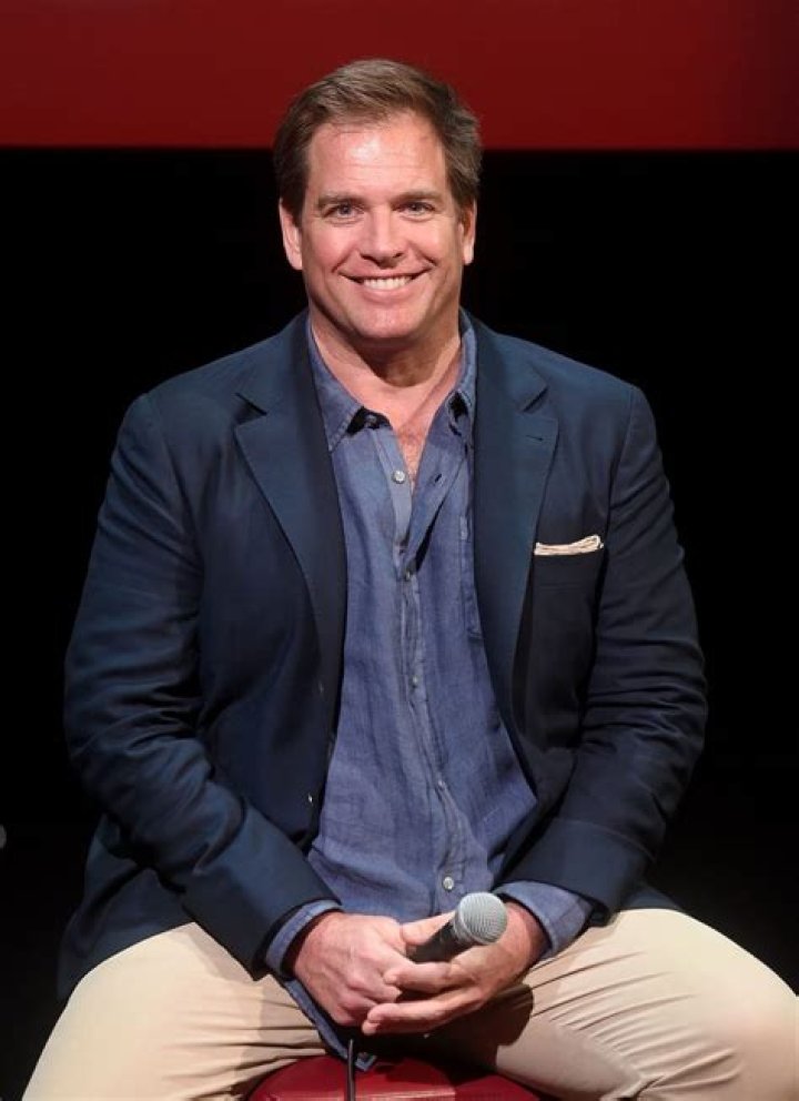 Michael Weatherly: Net Worth, Career, and Personal Life