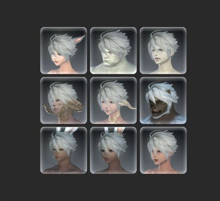 Unleashing the Bold: The Mohawk Hrothgar Hairstyle in FFXIV