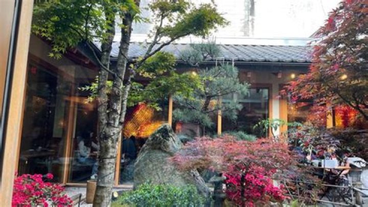 Discovering the Essence of Momiji Capitol Hill