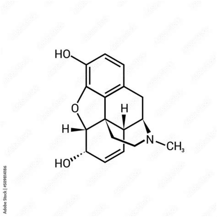 The Ultimate Guide to Morphine Makeup: Unlocking the Secrets of Surreal Beauty