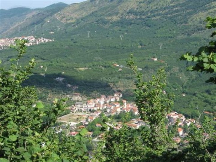 All About Moschiano: A Comprehensive Guide to the World of Fashion